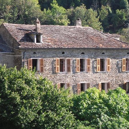 Chambre D'Hotes La Marlotte Castello-di-Rostino Екстер'єр фото