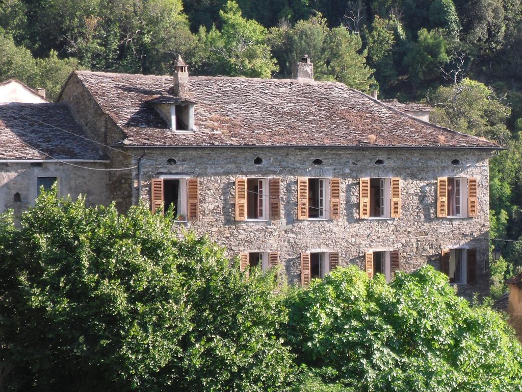 Chambre D'Hotes La Marlotte Castello-di-Rostino Екстер'єр фото